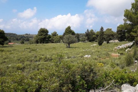 Land in Zakynthos, Greece No. 24666 9