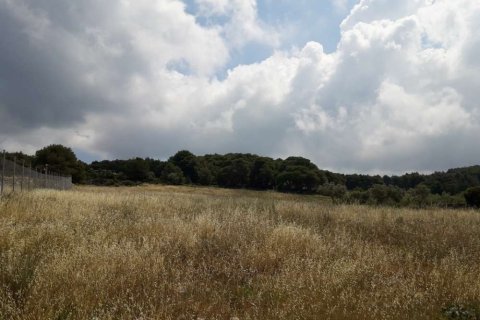 Land in Zakynthos, Greece No. 24666 1