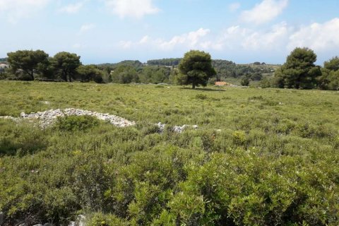 Land in Zakynthos, Greece No. 24666 10