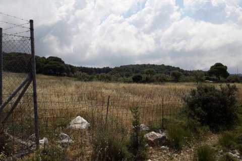 Land in Zakynthos, Greece No. 24666 11