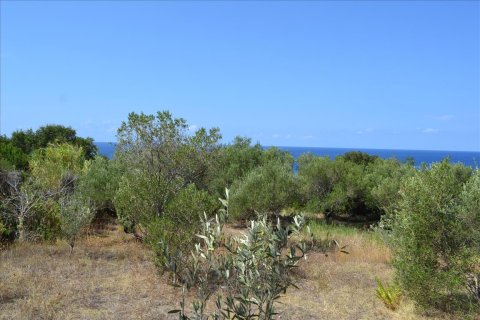 9150m² Land in Corfu, Greece No. 57908 23