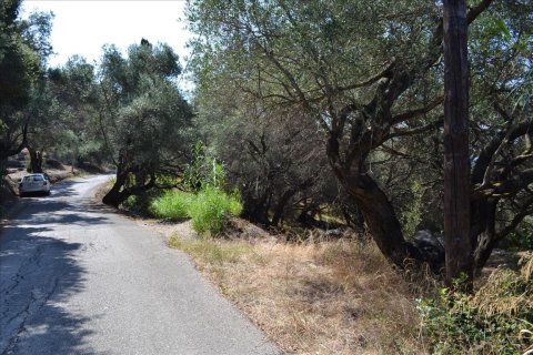 9150m² Land en Corfu, Greece No. 57908 17