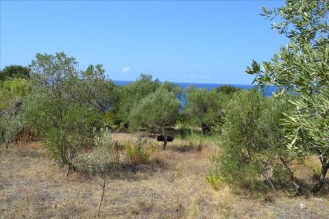 9150m² Land en Corfu, Greece No. 57908 24