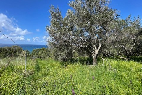 9150m² Land in Corfu, Greece No. 57908 19