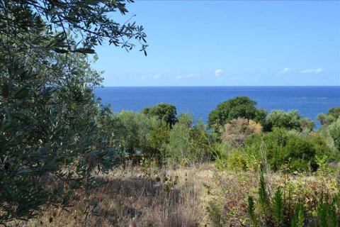 9150m² Land in Corfu, Greece No. 57908 16