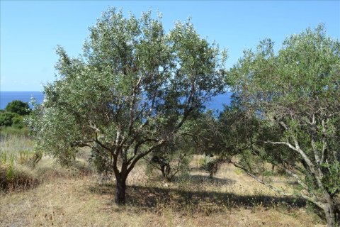 9150m² Land en Corfu, Greece No. 57908 14