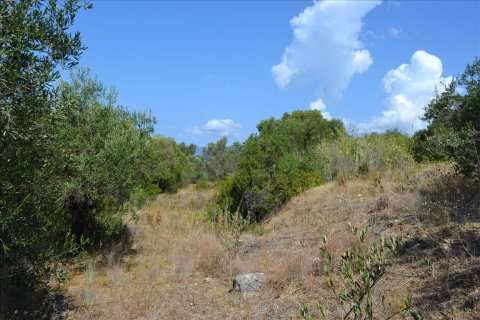 9150m² Land en Corfu, Greece No. 57908 9