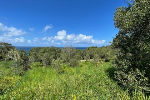 9150m² Land in Corfu, Greece No. 57908 22