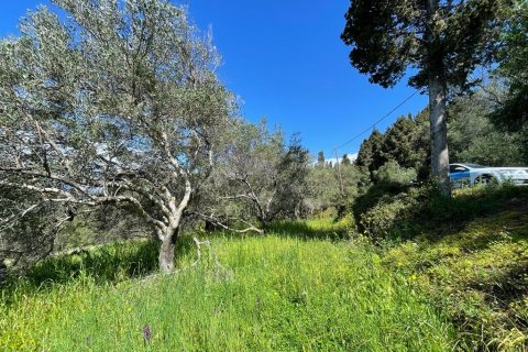 9150m² Land en Corfu, Greece No. 57908 27