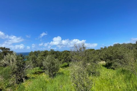 9150m² Land in Corfu, Greece No. 57908 21