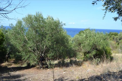 9150m² Land à Corfu, Greece No. 57908 8