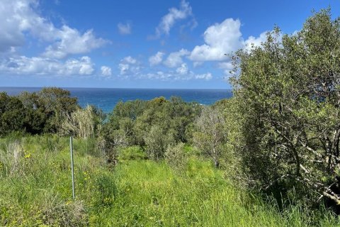 9150m² Land in Corfu, Greece No. 57908 1