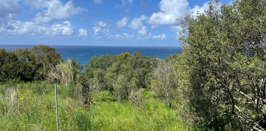 9150m² Land in Corfu, Greece No. 57908