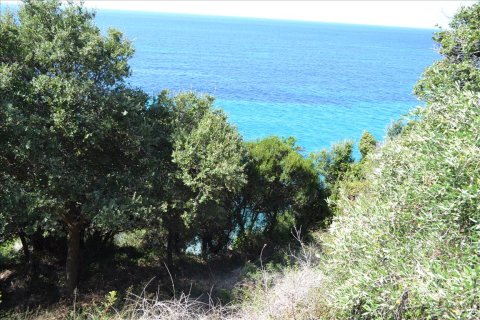 9150m² Land en Corfu, Greece No. 57908 12