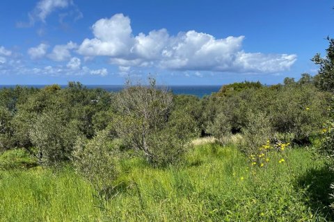 9150m² Land in Corfu, Greece No. 57908 20