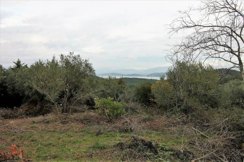 5500m² Land en Corfu, Greece No. 57763 2