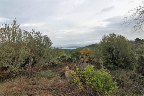 5500m² Land in Corfu, Greece No. 57763 5