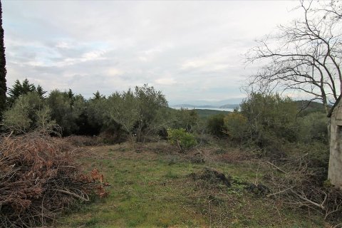 5500m² Land in Corfu, Greece No. 57763 1