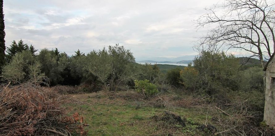 5500m² Land in Corfu, Greece No. 57763