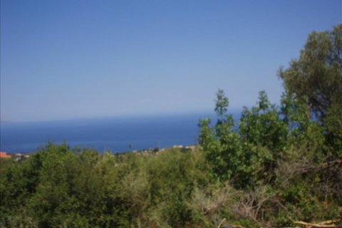 Commercial property en Zakynthos, Greece No. 49809 1