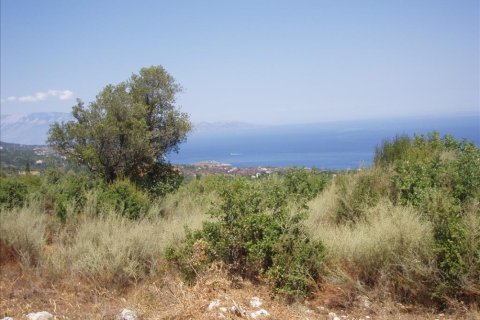 Commercial property en Zakynthos, Greece No. 49809 3