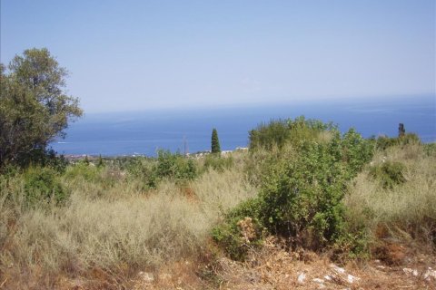 Commercial property en Zakynthos, Greece No. 49809 2