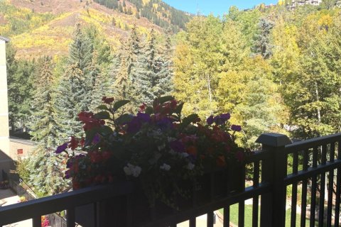 4 bedrooms Condo  in Vail, USA No. 62098 14