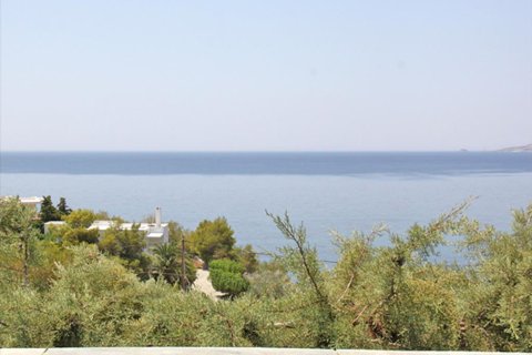 850m² Hotel in Karystos, Greece No. 59729 3