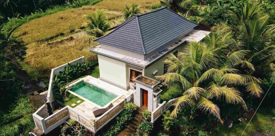 2 bedrooms Villa in Ubud, Indonesia No. 23474