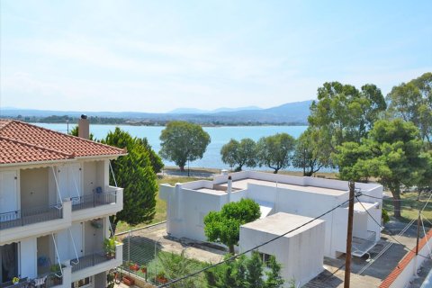 600m² Negocio en Euboea, Greece No. 60284 4