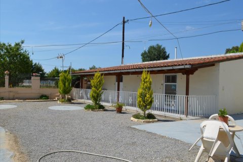 600m² Negocio en Euboea, Greece No. 60284 28