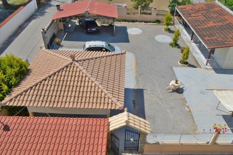 600m² Business in Euboea, Greece No. 60284 18