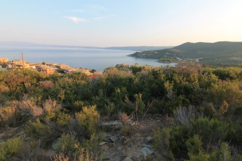 19000m² Land in Chalkidiki, Greece No. 59067 1