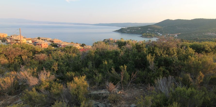 19000m² Land in Chalkidiki, Greece No. 59067