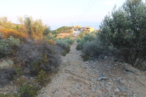 19000m² Land in Chalkidiki, Greece No. 59067 8