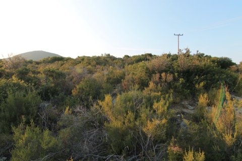 19000m² Land in Chalkidiki, Greece No. 59067 3