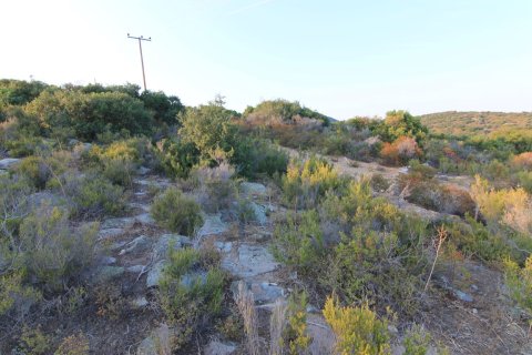 19000m² Land in Chalkidiki, Greece No. 59067 2