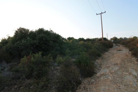 19000m² Land en Chalkidiki, Greece No. 59067 4