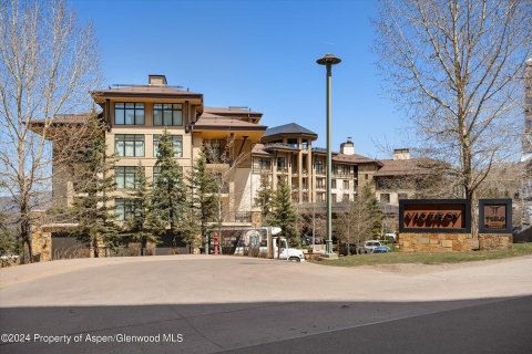 3 chambres Copropriété  à Snowmass Village, USA No. 62170 21