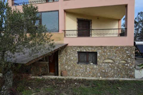 5 chambres House à Vasilika, Greece No. 57603 3