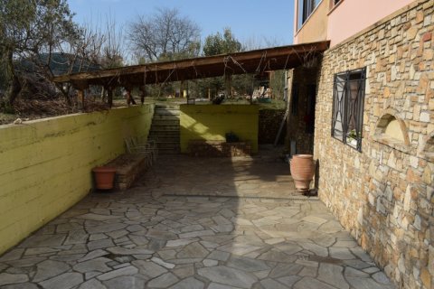 5 dormitorios House en Vasilika, Greece No. 57603 11