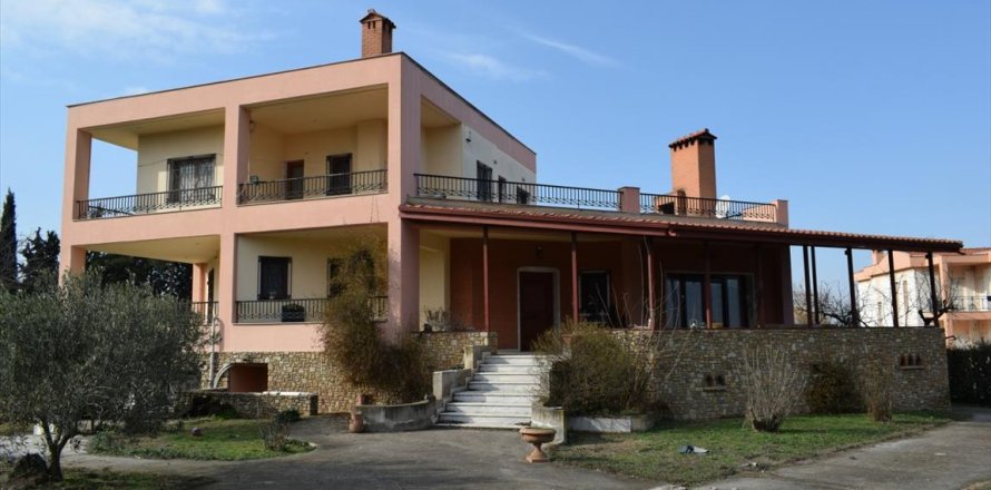 5 chambres House à Vasilika, Greece No. 57603