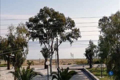 381m² Negocio en Magnesia, Greece No. 57602 15