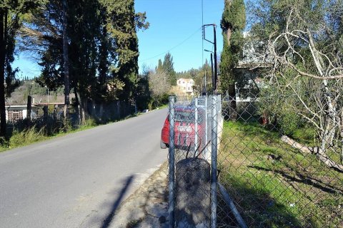 10000m² Land in Corfu, Greece No. 57600 4