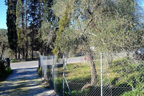 10000m² Land in Corfu, Greece No. 57600 3