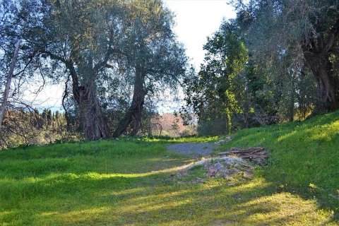 10000m² Land en Corfu, Greece No. 57600 8