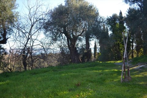 10000m² Land en Corfu, Greece No. 57600 14