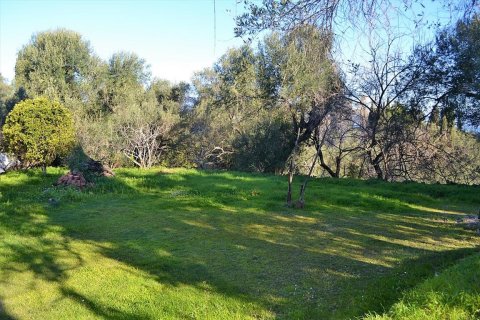 10000m² Land in Corfu, Greece No. 57600 15