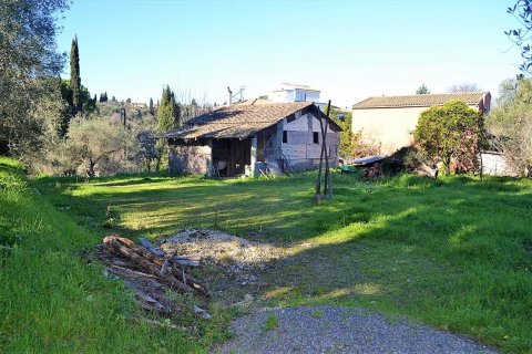 10000m² Land en Corfu, Greece No. 57600 11