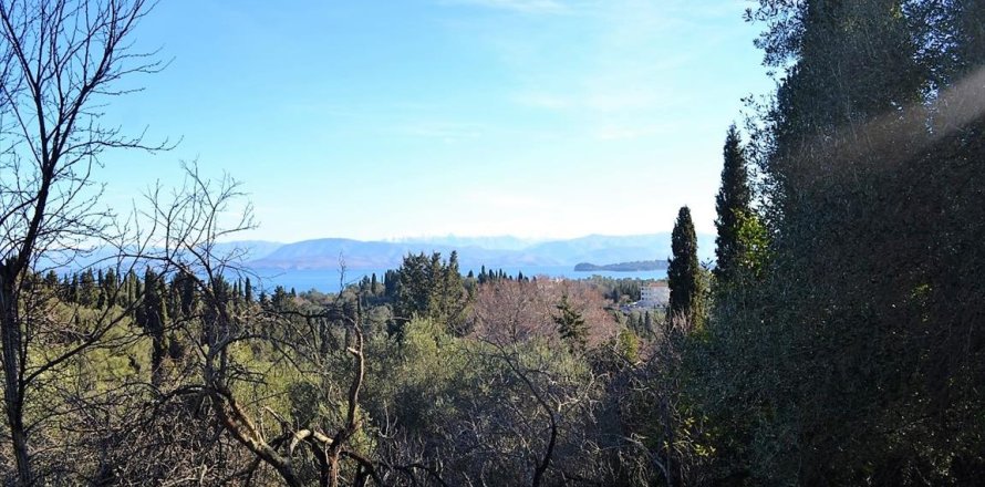 10000m² Land in Corfu, Greece No. 57600